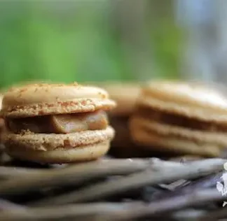 Macaron spéculoos